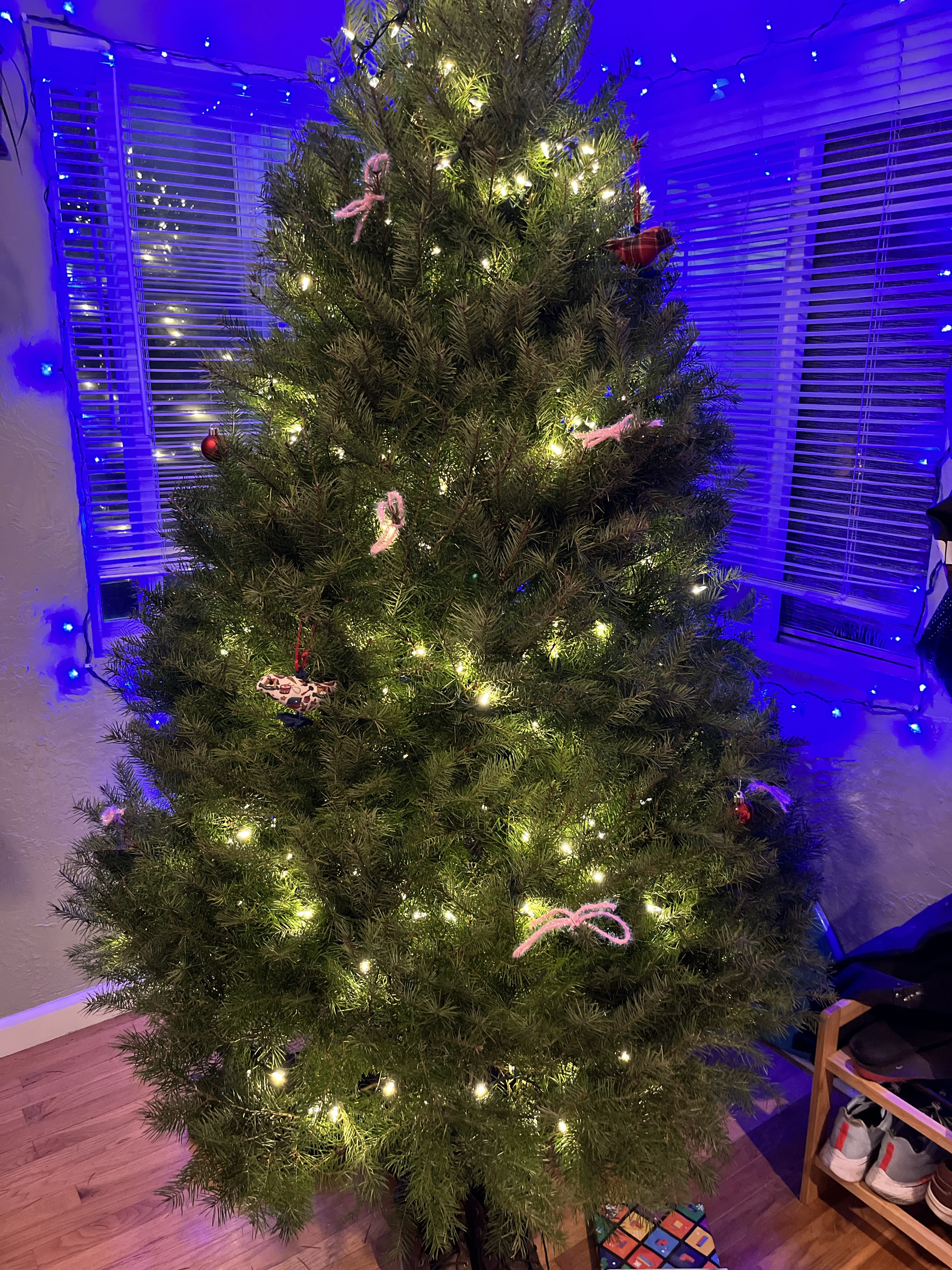Lighted Christmas tree inside a past client's home