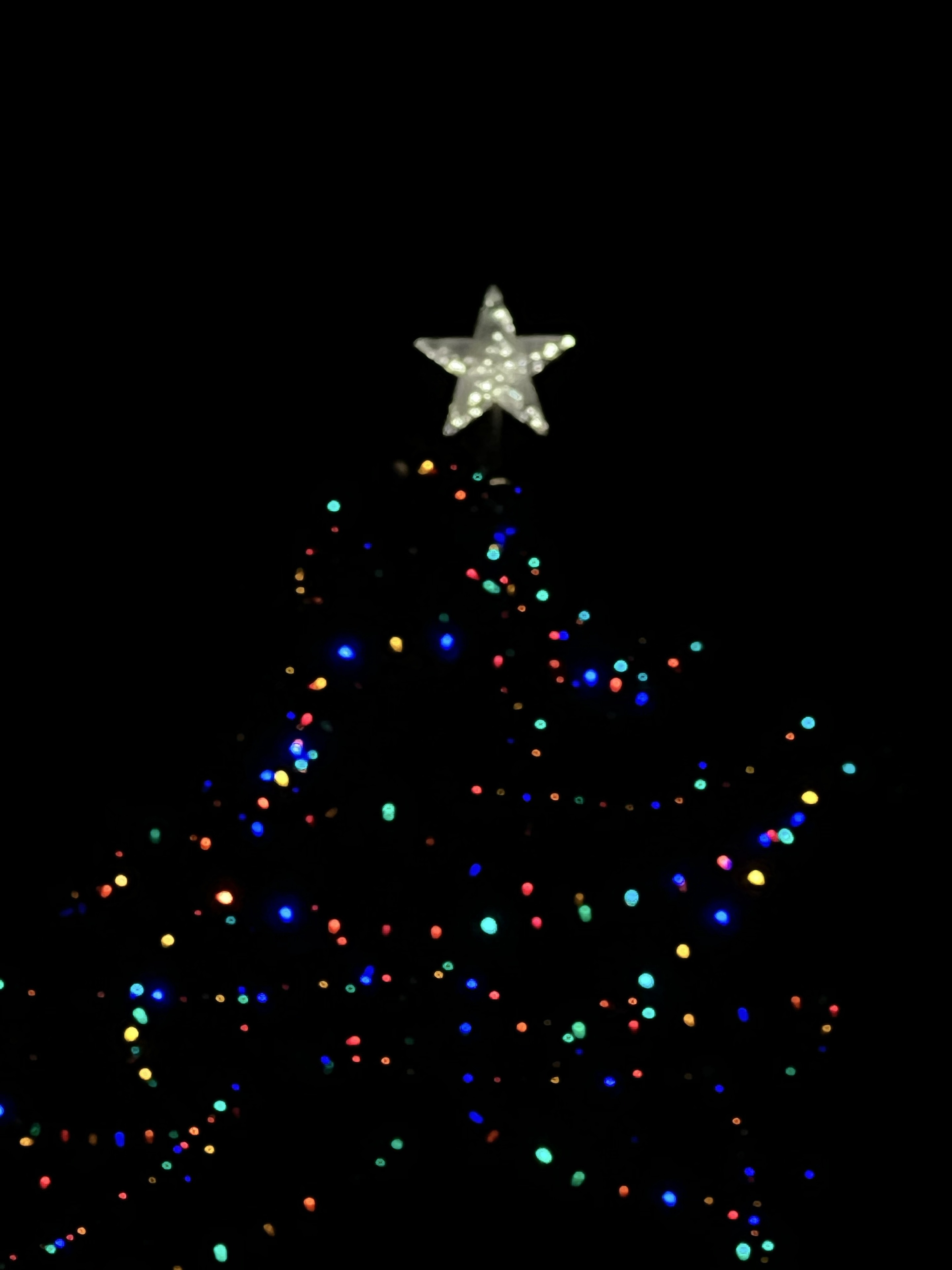 Colorful Christmas tree lights photographed at night by a past client